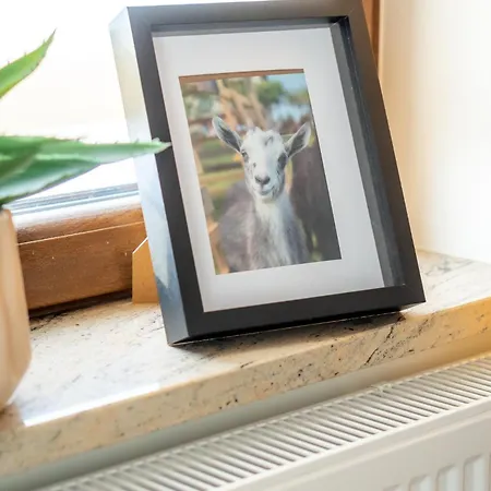 Gorski Azyl Lägenhet